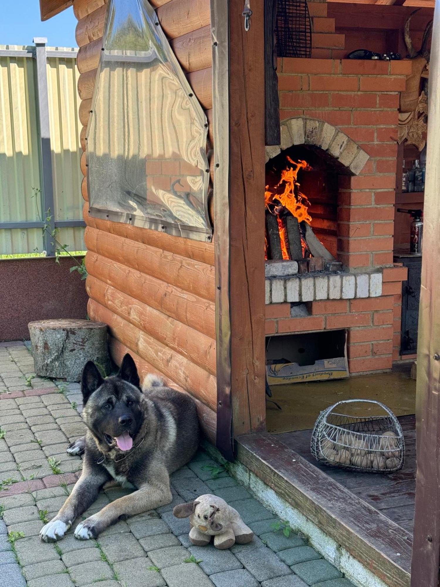 Під Боржавою Volovets Exterior foto
